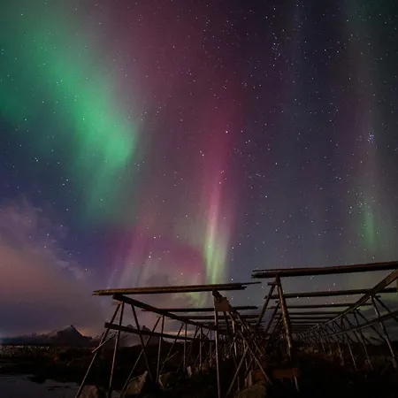 Fish Factory -the Real Lofoten Experience Гостевой дом *