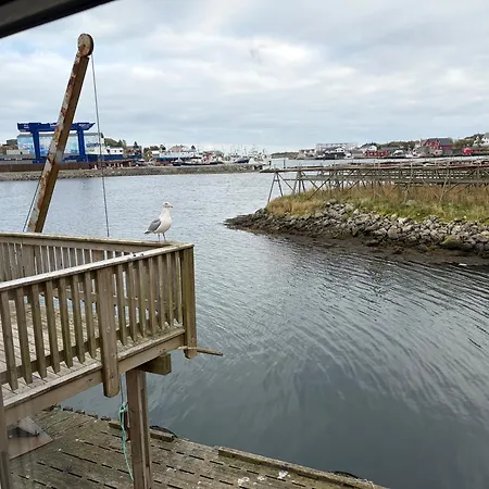 Fish Factory -the Real Lofoten Experience Гостевой дом Баллстад