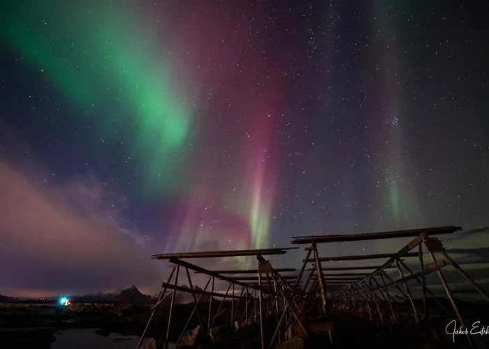 Fish Factory -the Real Lofoten Experience Penzion *